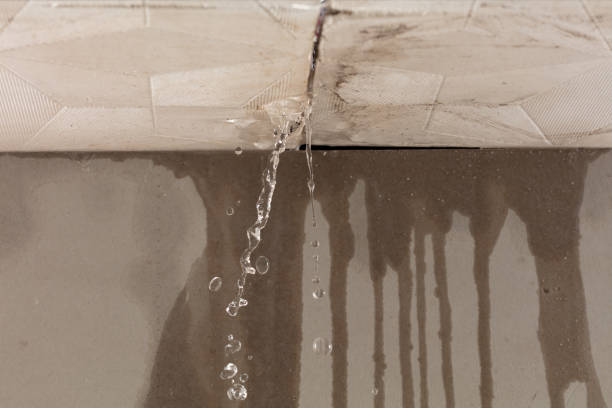 Professional Water Damage Restoration technician working in New Market, TN